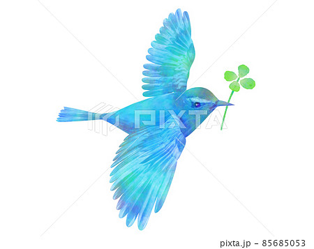 幸運の鳥の写真素材 - PIXTA