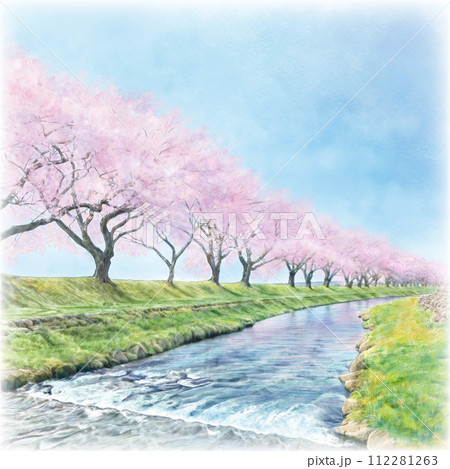 桜並木 イラスト 水彩 スケッチの写真素材 - PIXTA