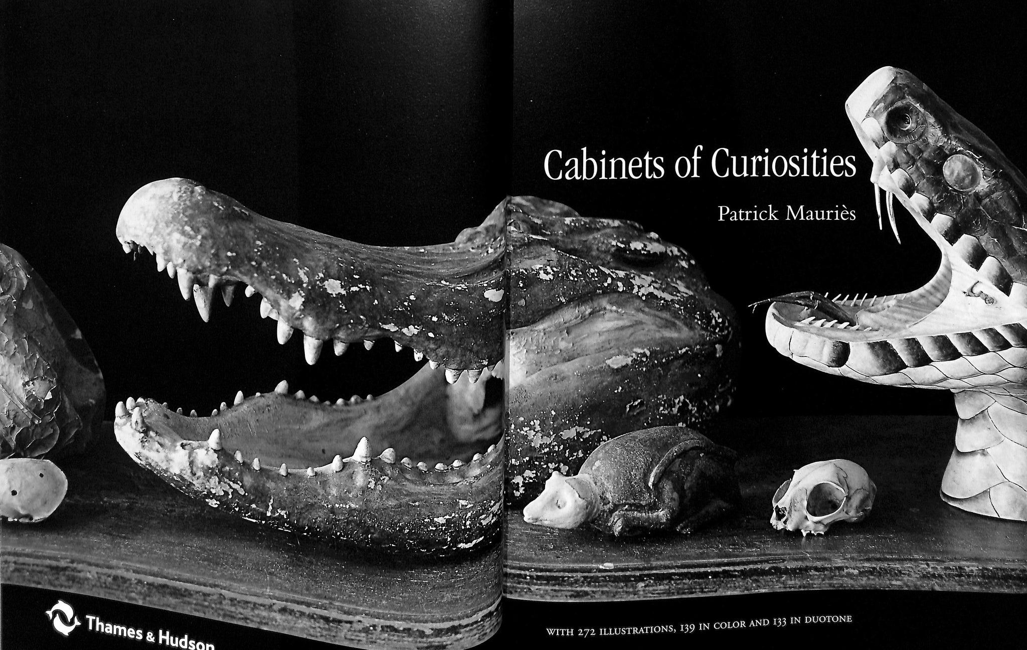 Cabinets Of Curiosities