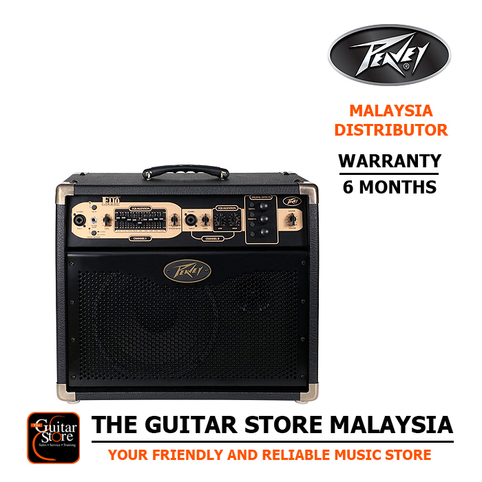 Peavey Ecoustic E110 100w - The Guitar Store