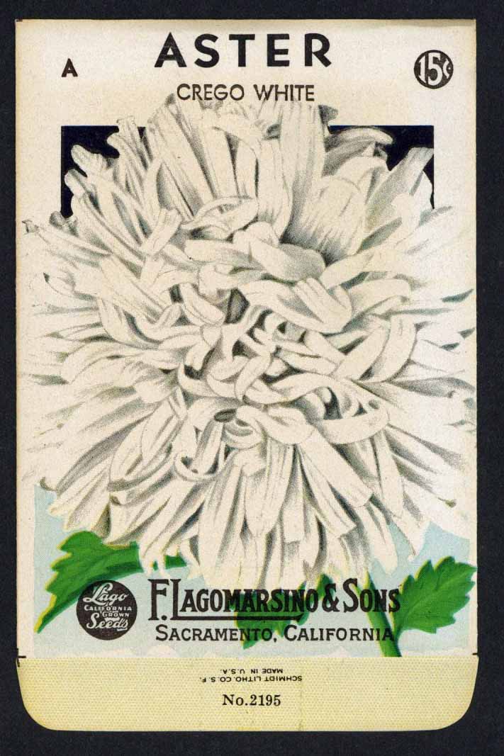 Vintage Seed Packets 1940-1980 – thelabelman