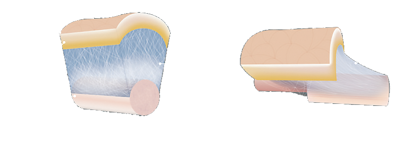 製品案内 ｜Chino THE METHOD ｜自分史上最美ボディ by Chino