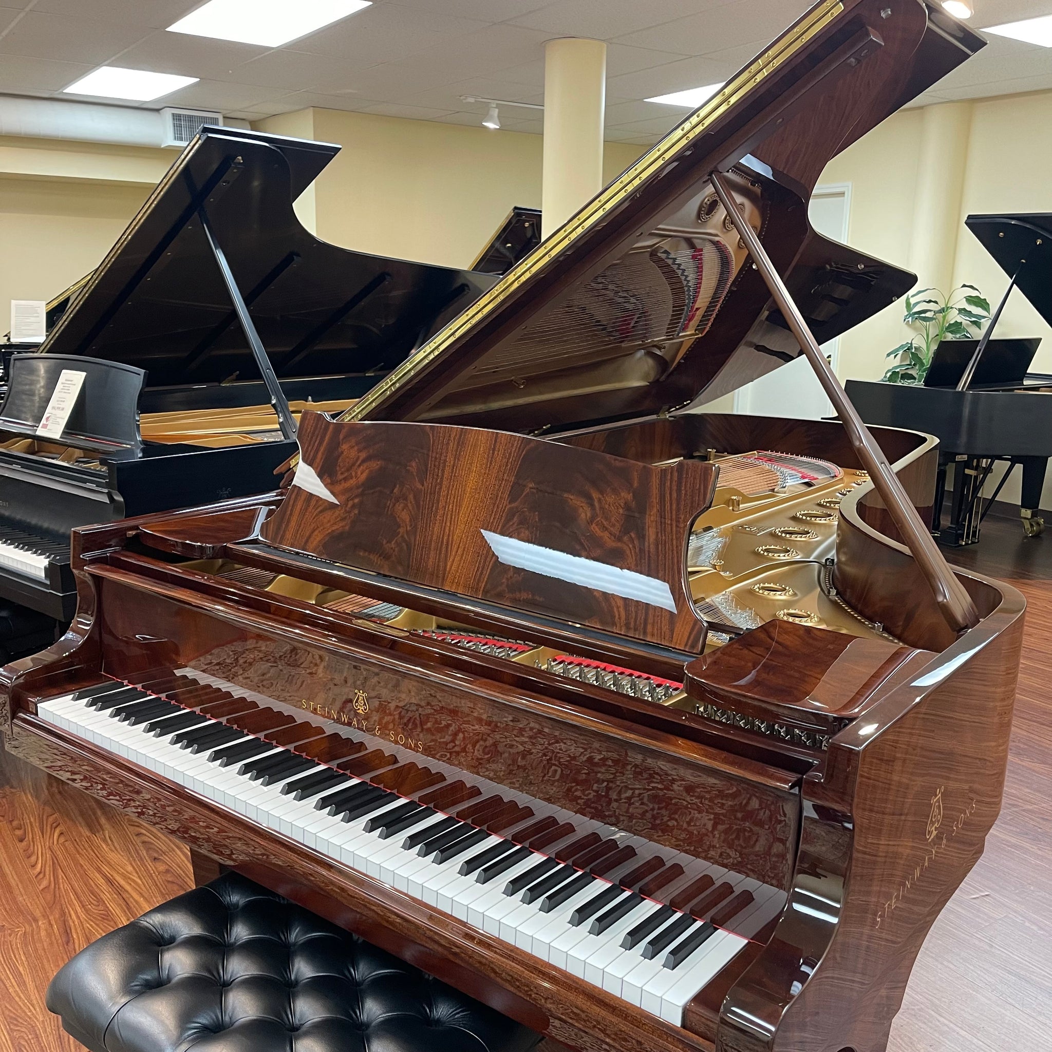 1880 Steinway Model D Concert Grand - Pyramid Mahogany