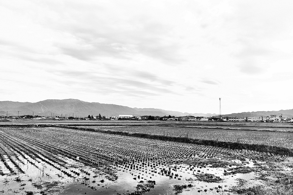 僕らの工場。#9 米農家の贅沢な甘酒づくり「川瀬農園」 | Things