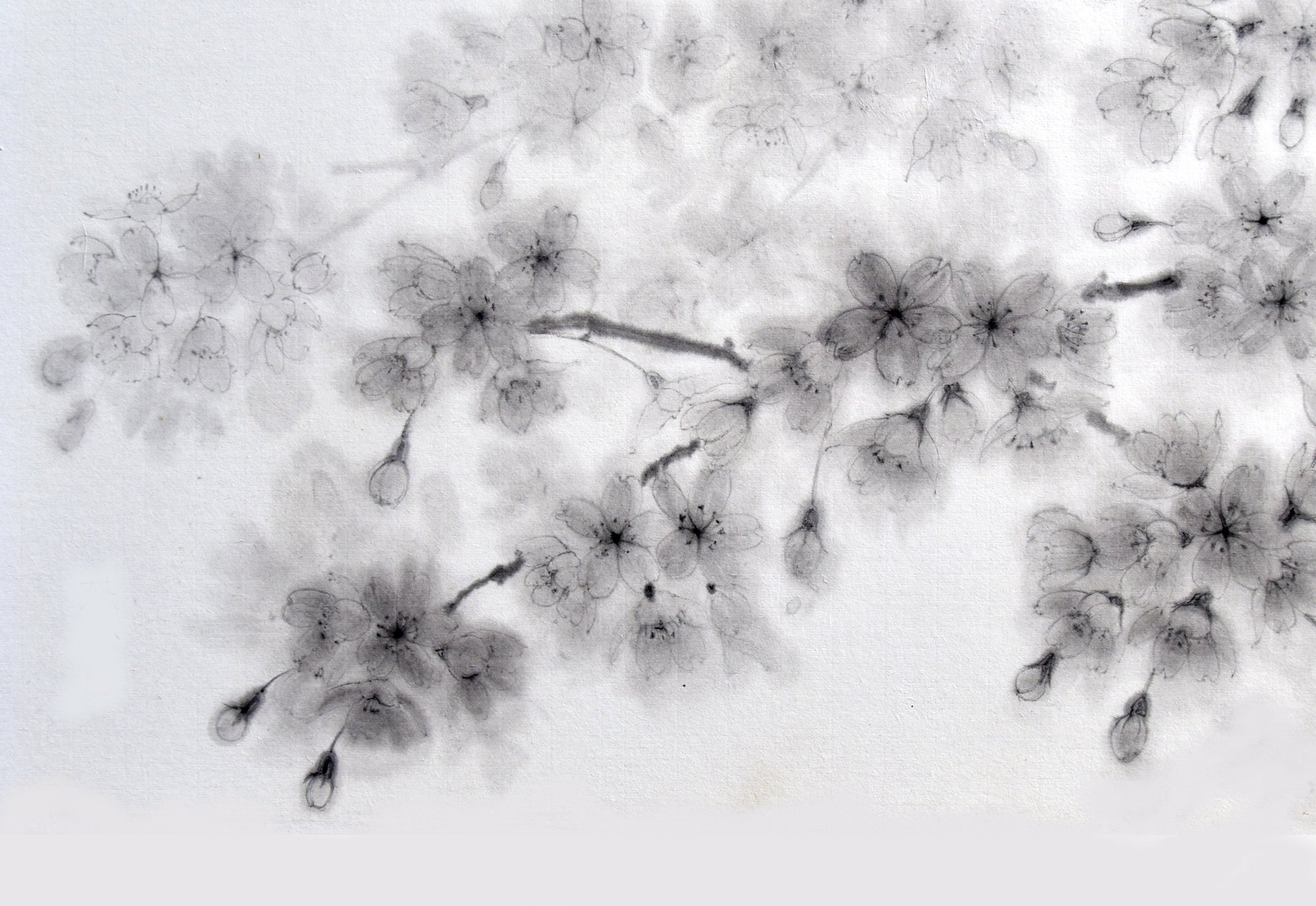 水墨画 桜 複製画A4 | 丸山瑛示 ｜インテリア絵画 アートの専門通販