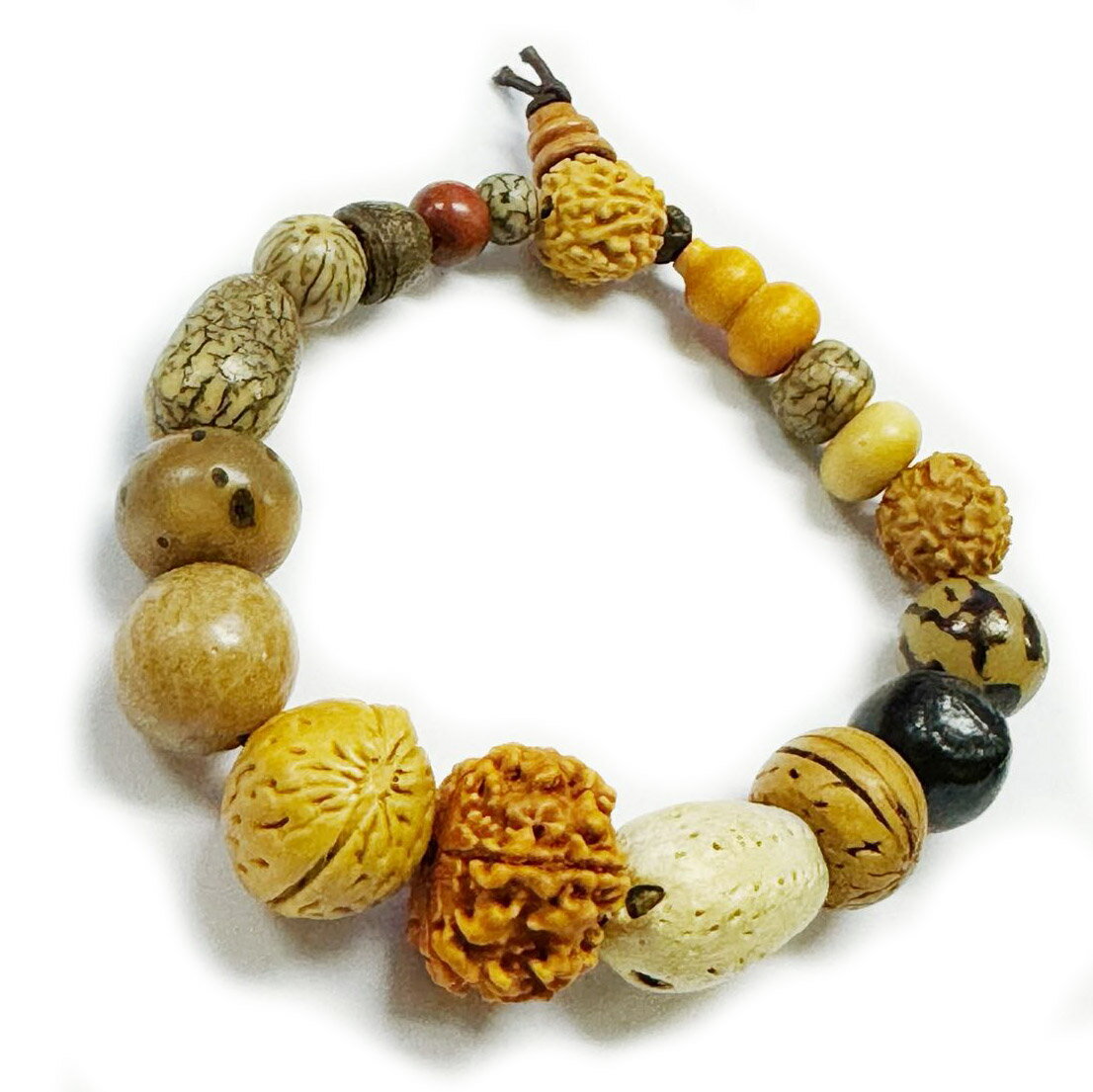 楽天市場】天竺菩提樹 ビーズの通販