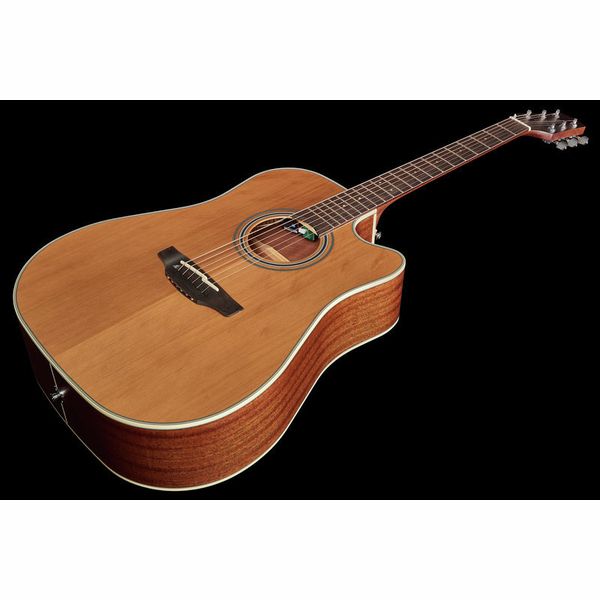Takamine GD20CE-N – United States