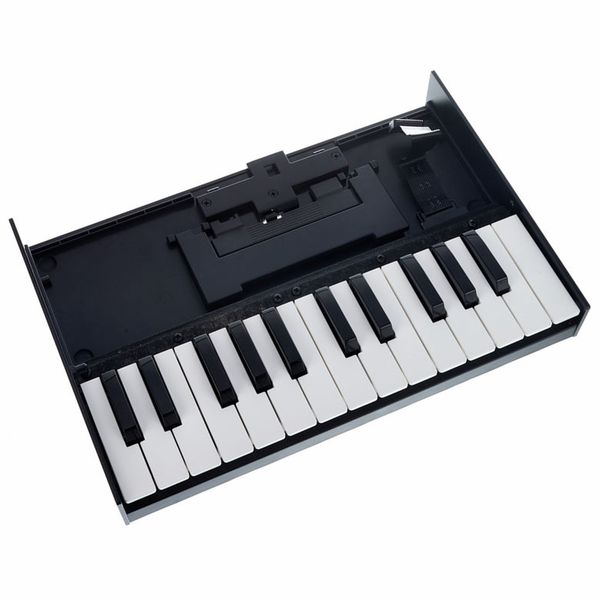 Roland Boutique K-25m Keyboard – United States