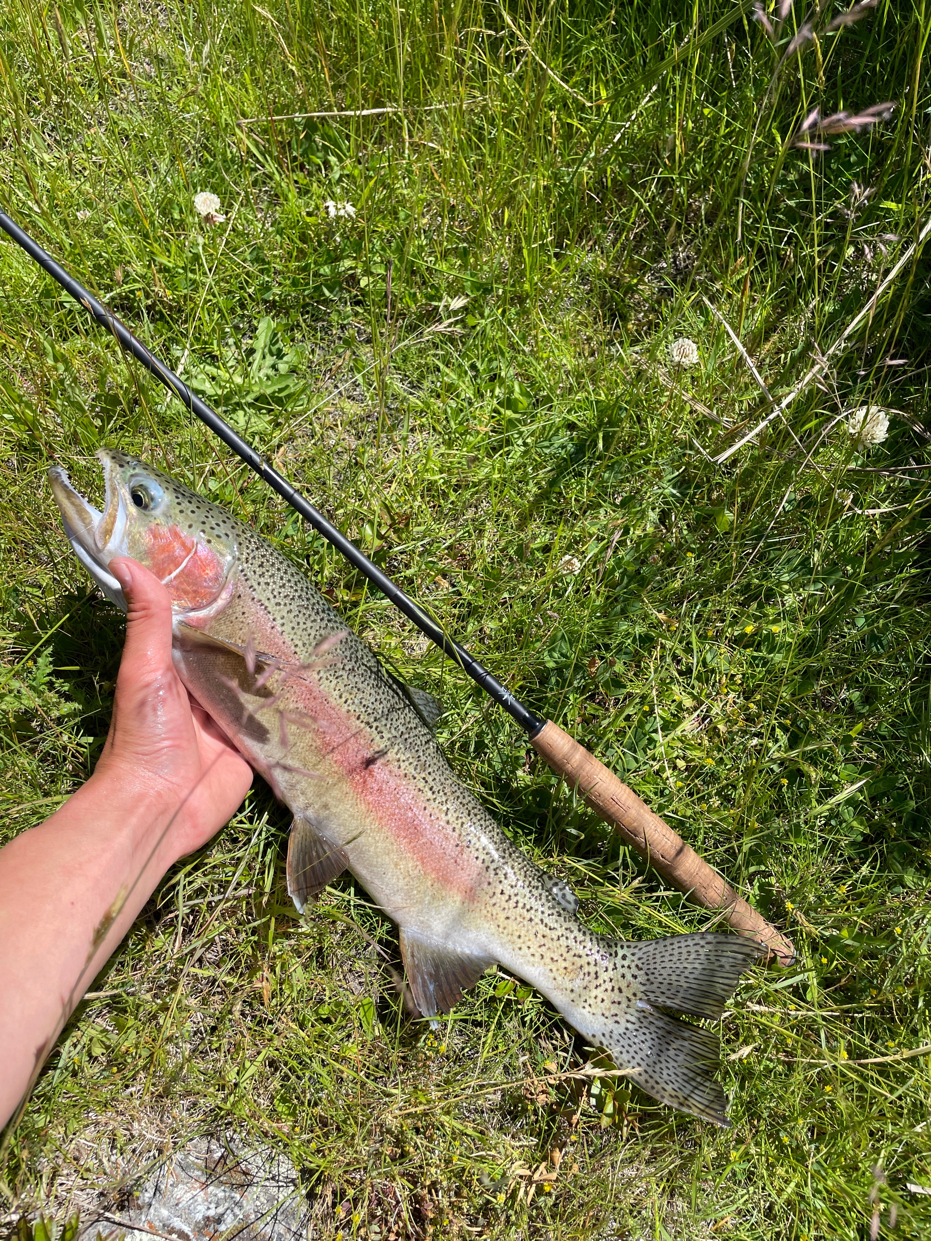 Tiny Ten 2 – Tiny Tenkara