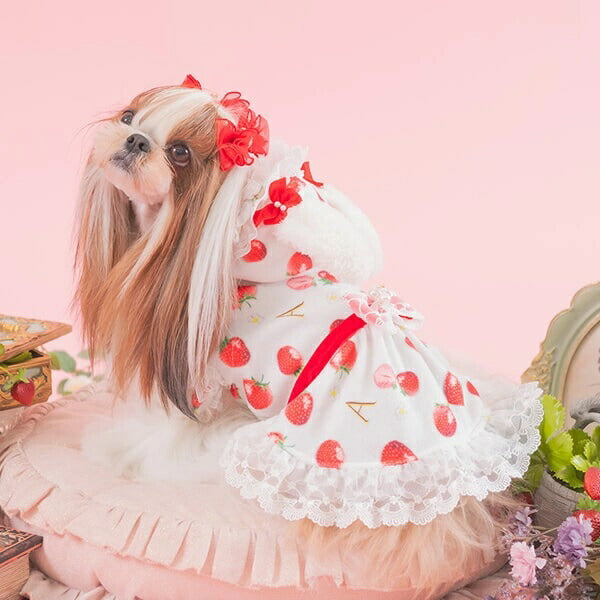 きゃんナナ CanNana 冬いちごうさ耳ワンピース 1145【小型犬 犬服