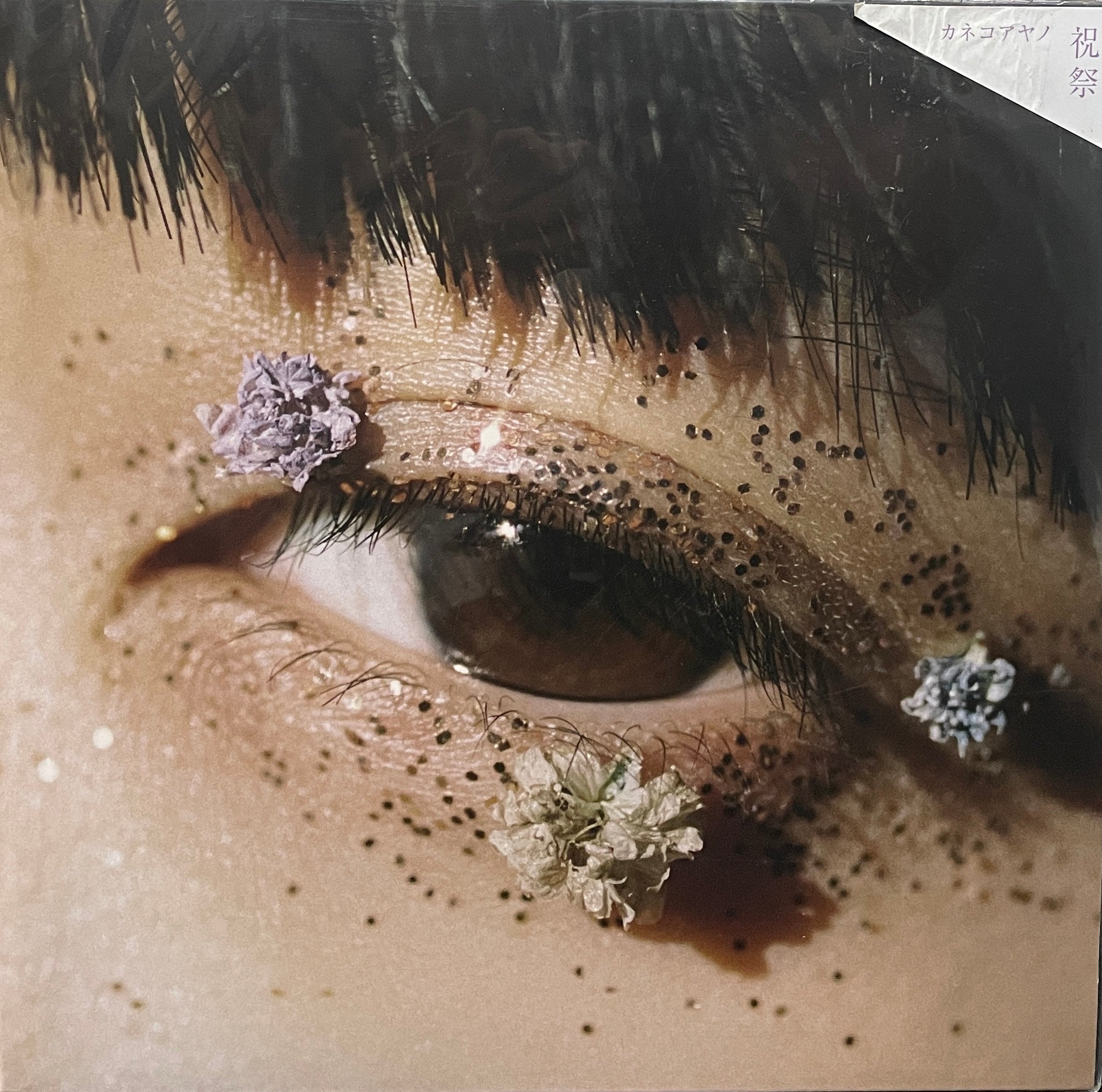 カネコアヤノ / 祝祭 ( inc. ロマンス宣言 ) We Are – WRLP-02, LP