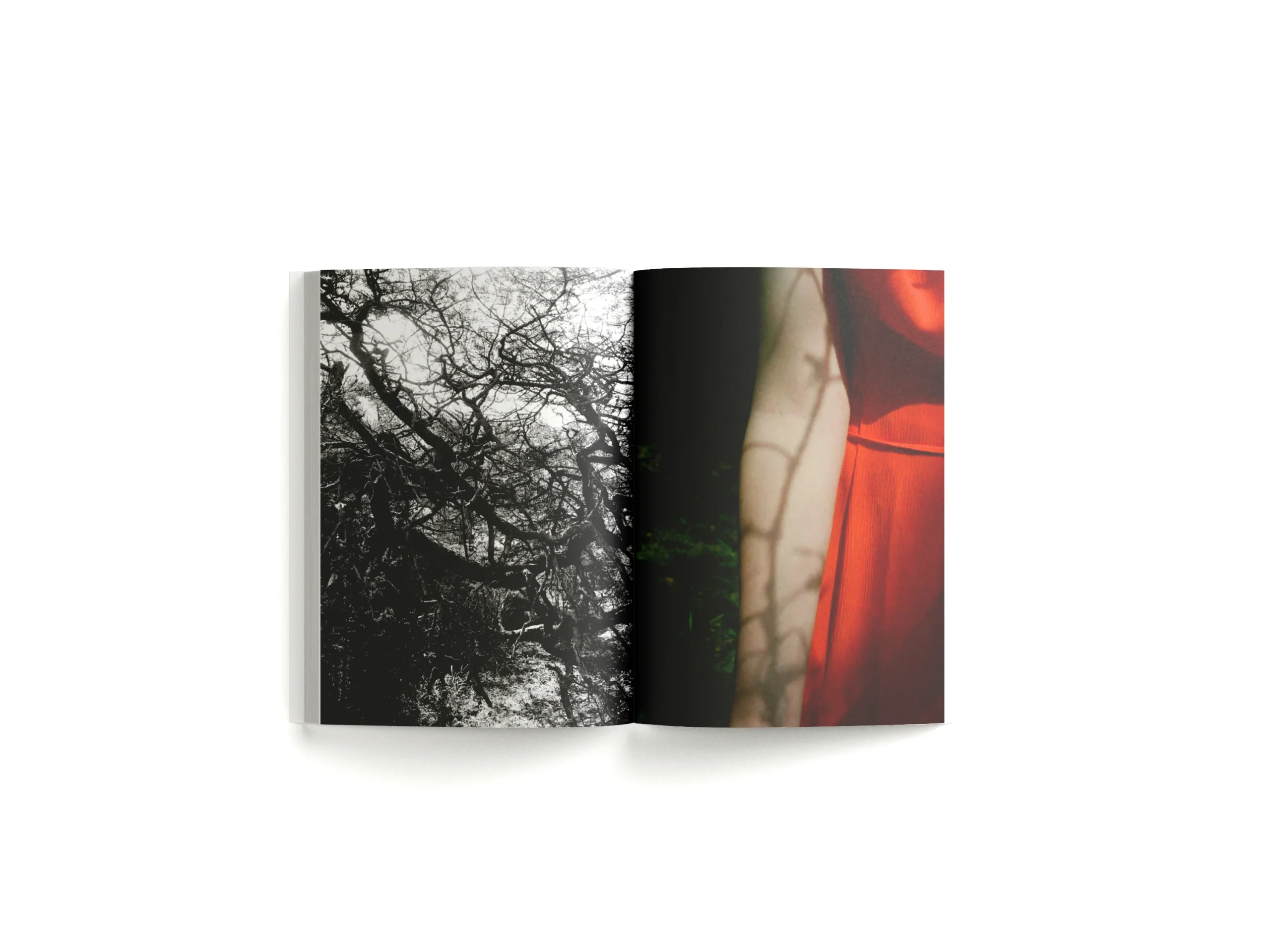 Book 15 - Lina Scheynius | Tique - art space for books
