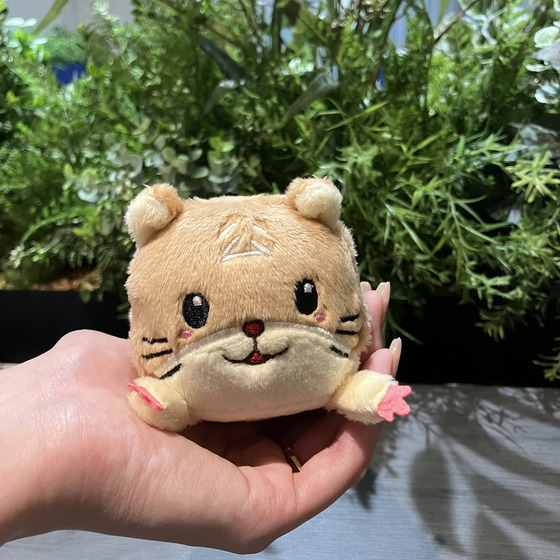 夢色キャスト ボンレスはむ ぬいぐるみキーホルダー お歳暮2025ver