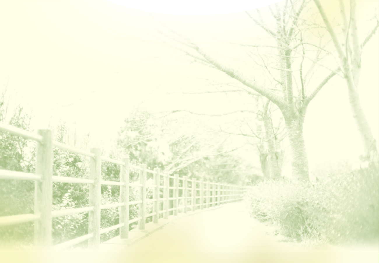 New Single「陽だまりの道」Release