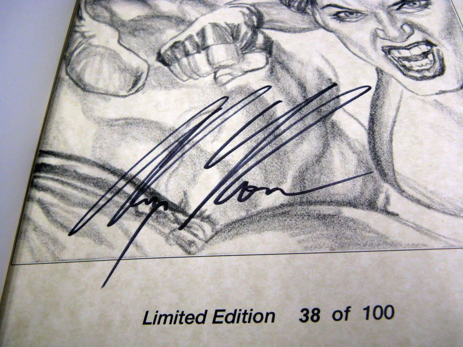 Wizard Alex Ross Millennium Edition Hardcover Book 38 of 100 She