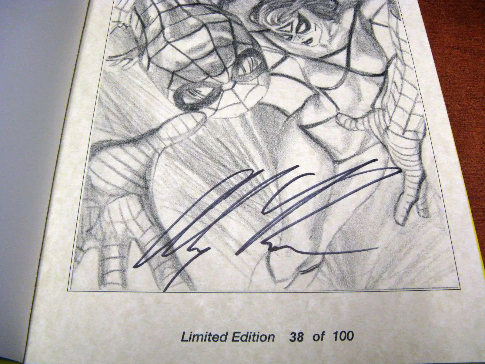 Wizard Alex Ross Millennium Edition Hardcover Book d of 100 Spider