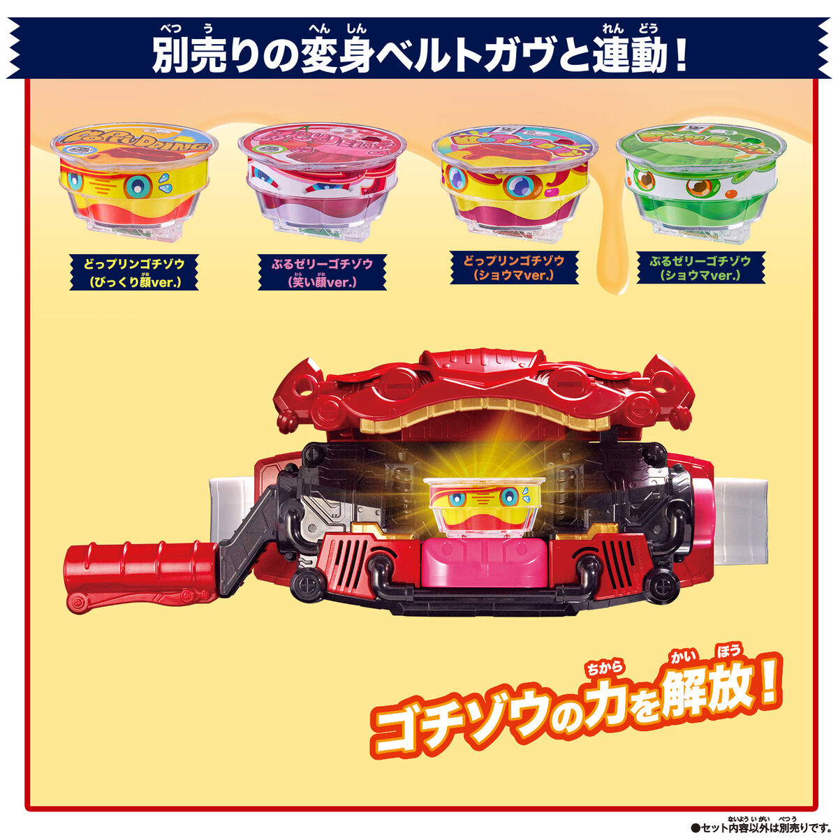 DX Rider Gochizo Special Set -Cup-Type Gochizo Ver-