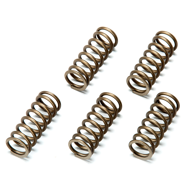 Tokyomods Hi-Performance Clutch Springs - KX450F : Tokyomods