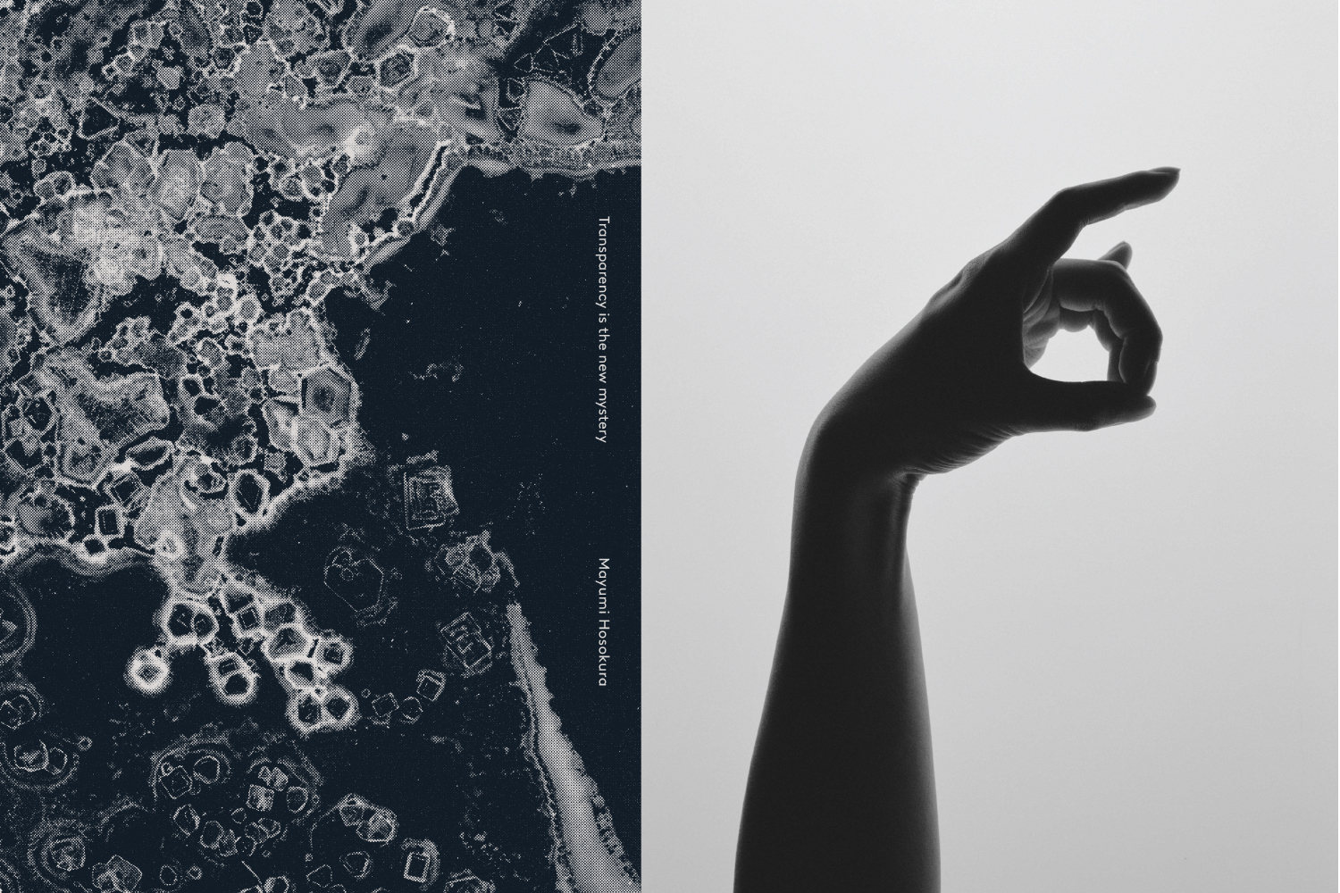 THE TOKYO ART BOOK FAIR 2016 | BOOK SIGNING Mayumi Hosokura