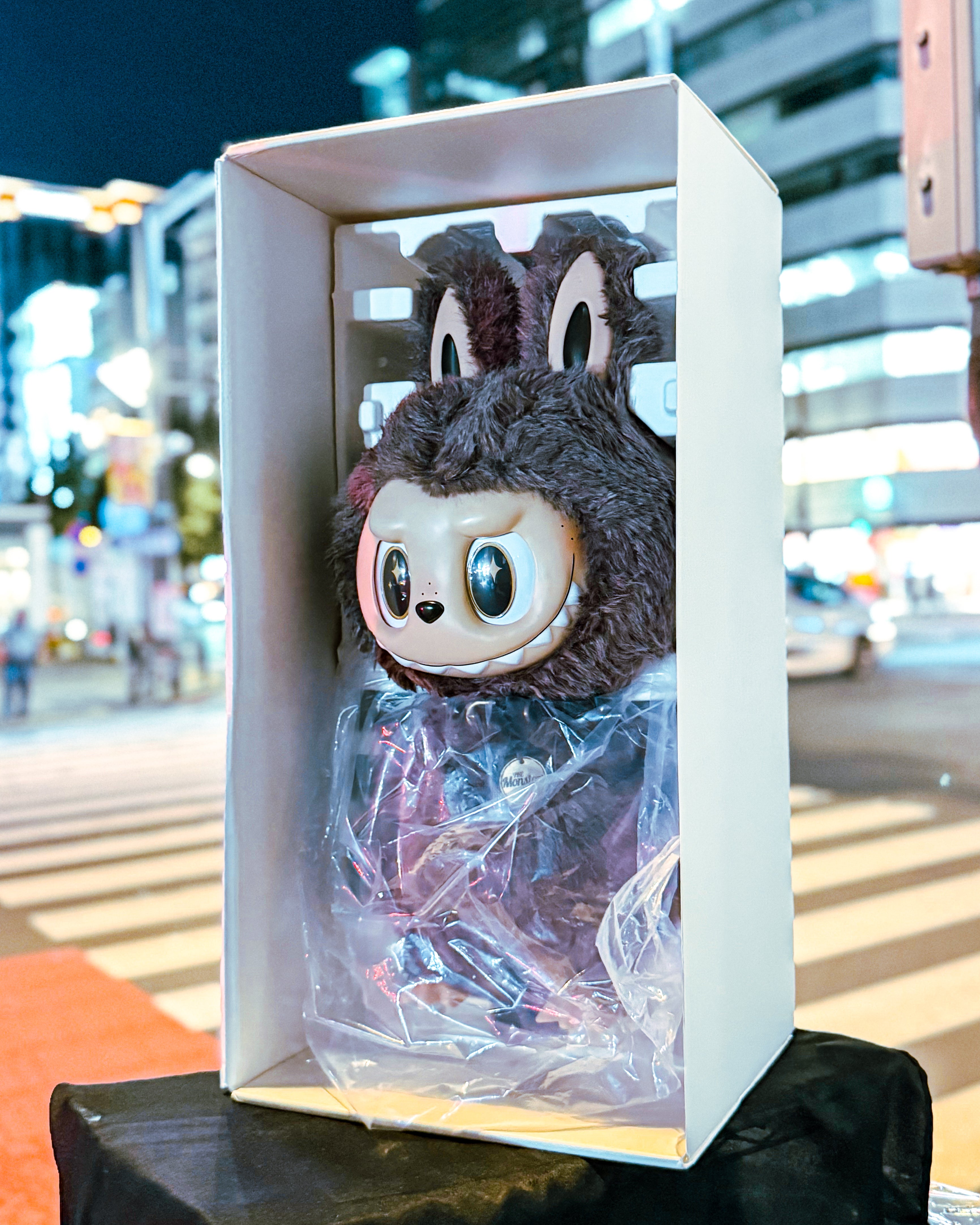 IMG_5505.jpg?v=1757724308&