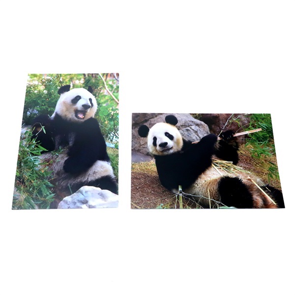 商品詳細ページ