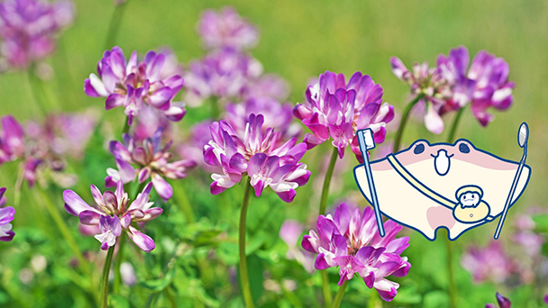 公益社団法人 東京都歯科衛生士会