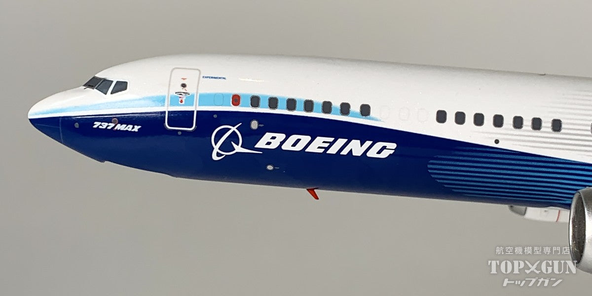 NG Models B737 MAX10 ボーイングハウスカラー N27751 1/200 [NG95005]