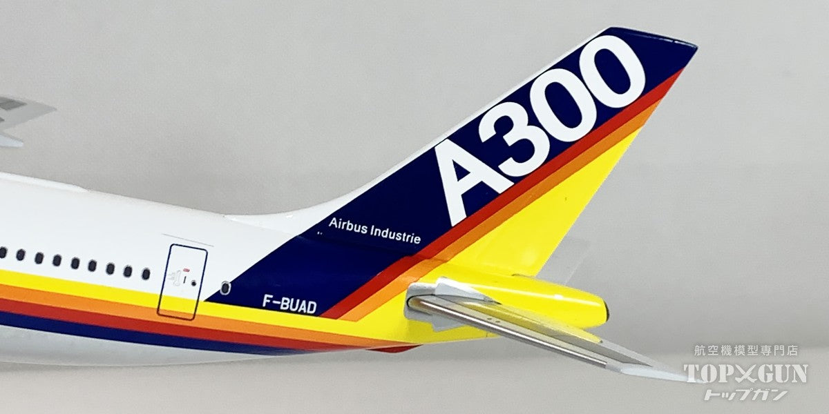 InFlight200 A300B2-100 エアバス ハウスカラー 「FLY BY WIRE」 F