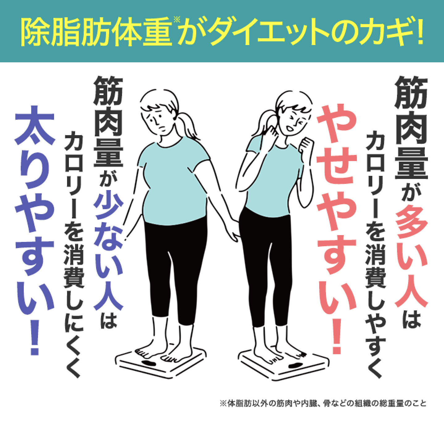 フォースコリー | DHC サプリメント