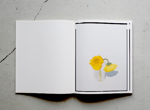 古書古本 Totodo: 上田義彦 FLOWERS（光琳社）