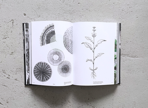 古書古本 Totodo: Studio Olafur Eliasson: The Kitchen（オラファー