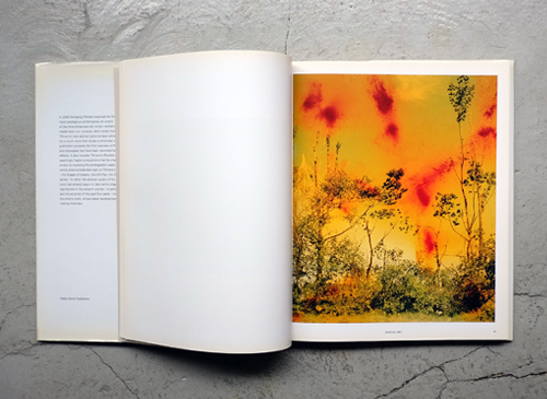 古書古本 Totodo:Wolfgang Tillmans: View from above（ヴォルフガング
