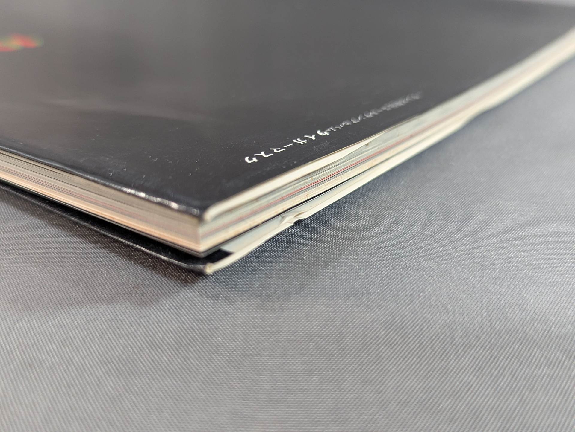 タイガーマスク写真集 テレビ朝日ゴールデンアルバム – 闘道館