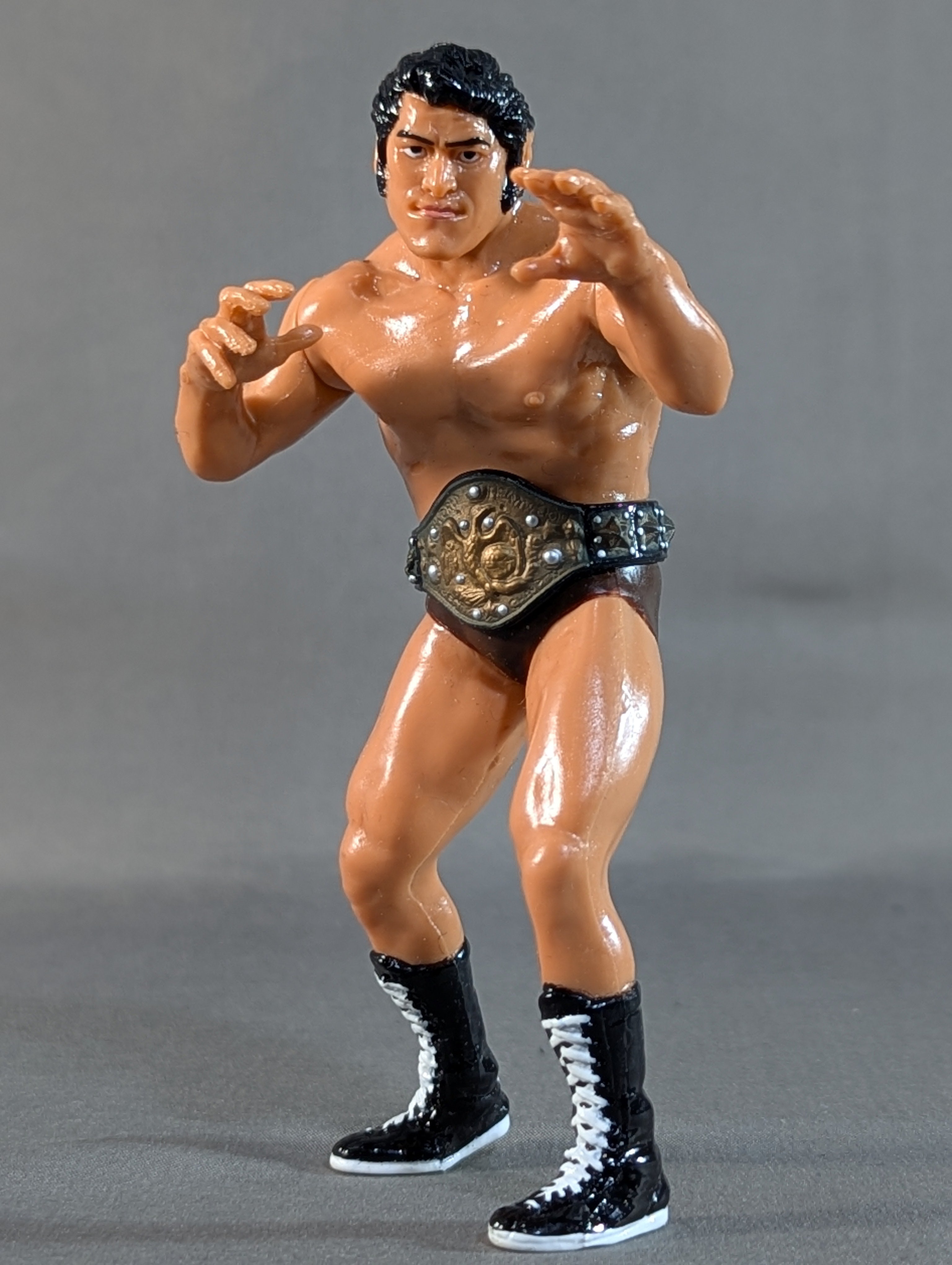 アントニオ猪木 (NWFベルト) – 闘道館