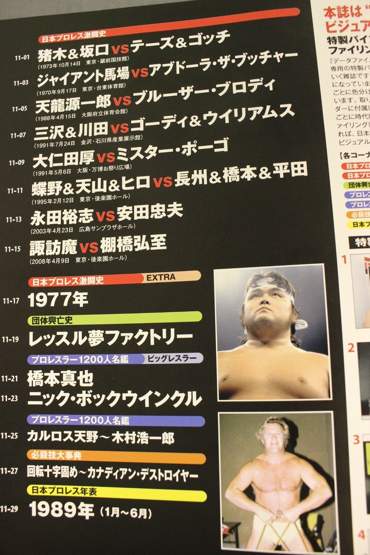日本プロレス激闘60年史 (11) – 闘道館