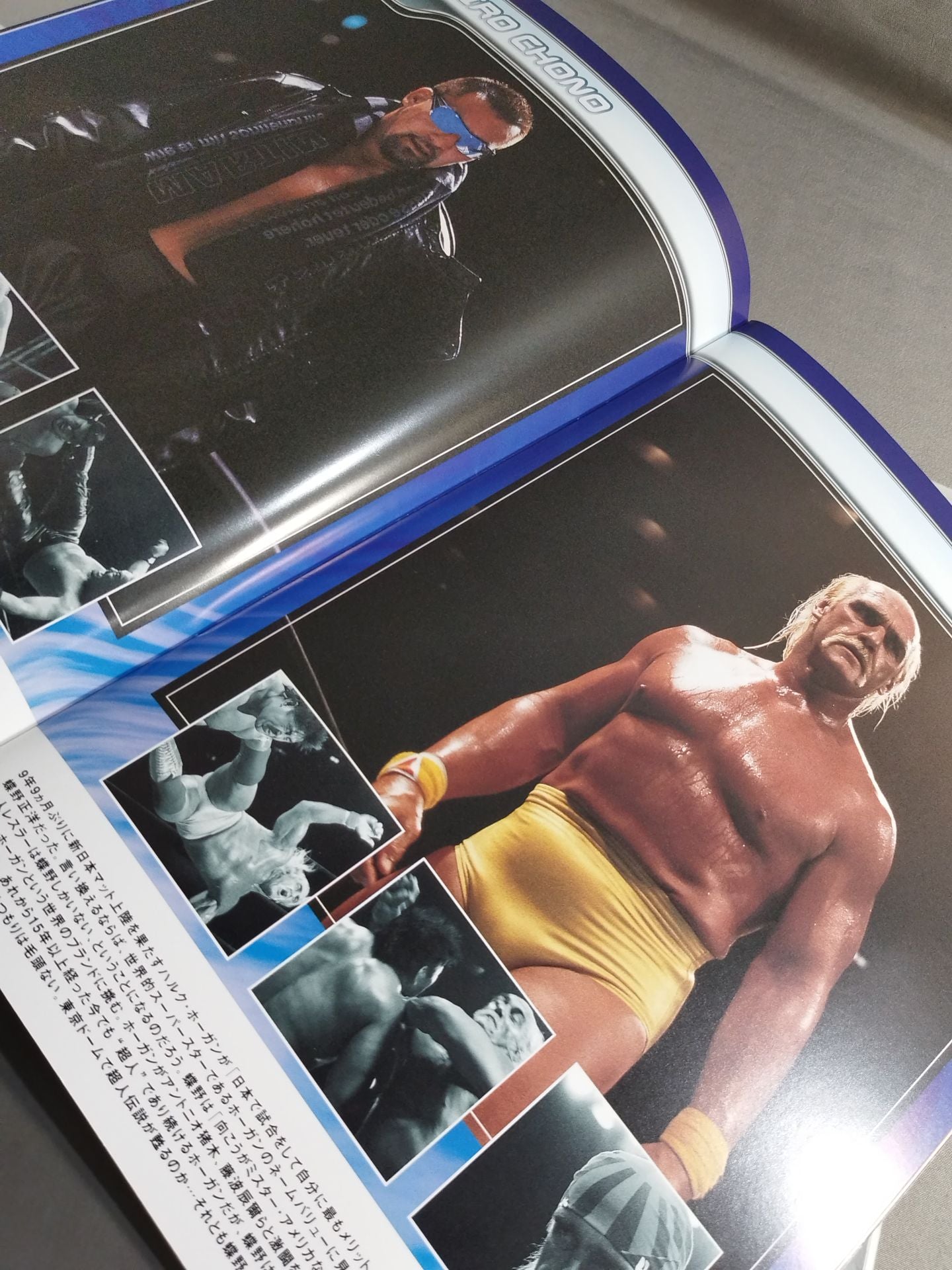 ☆ホーガンvs蝶野☆ Ultimate Crush 2003(白) – 闘道館