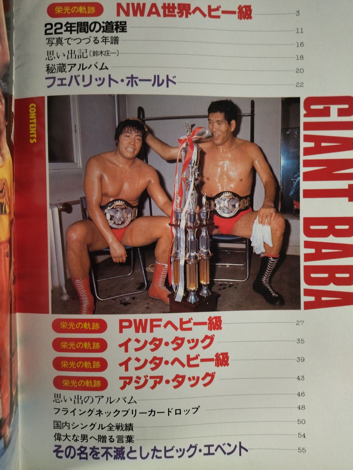 プロレスアルバム26 ジャイアント馬場 改訂版 – 闘道館