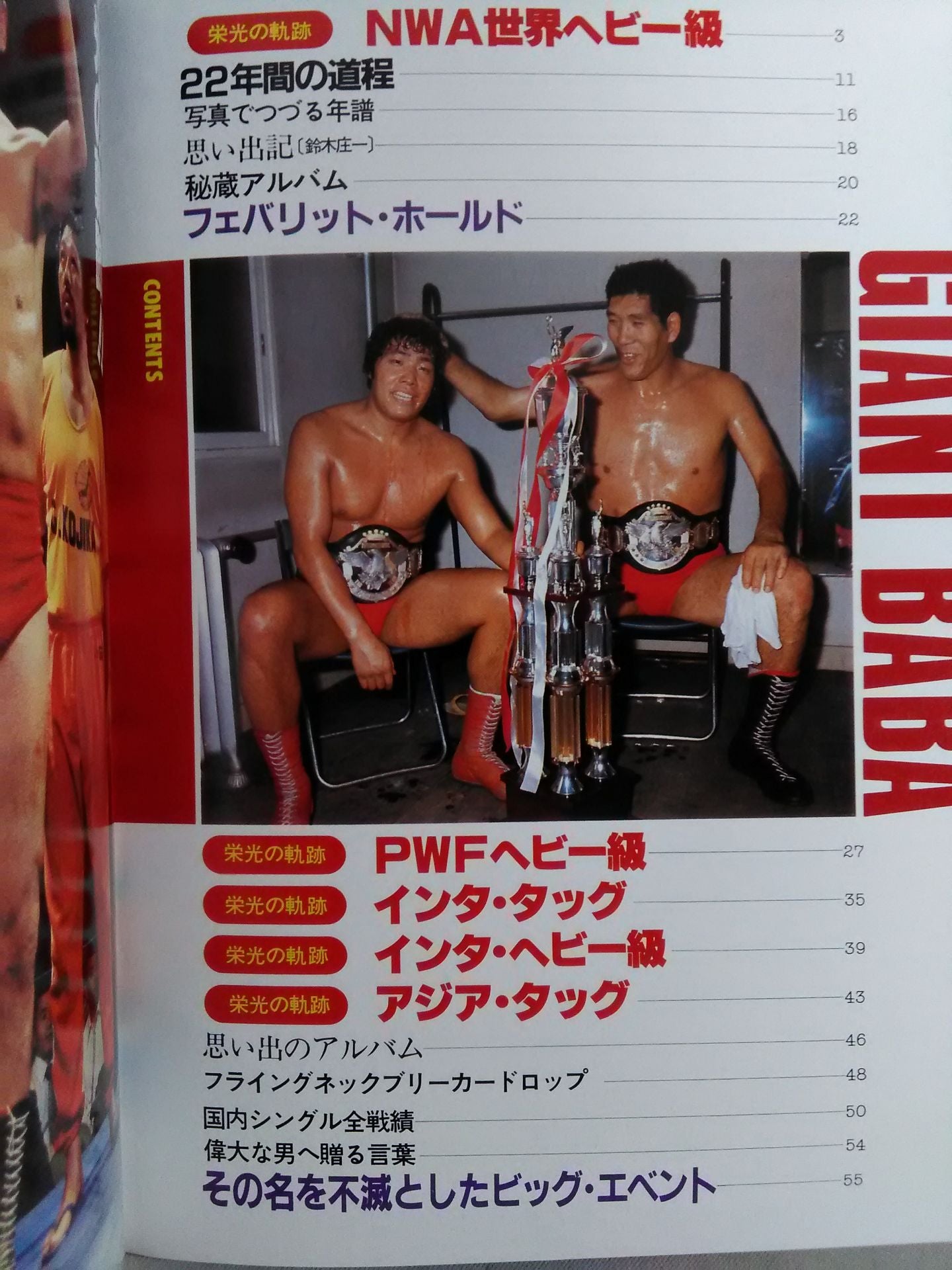 プロレスアルバム26 ジャイアント馬場 改訂版 – 闘道館