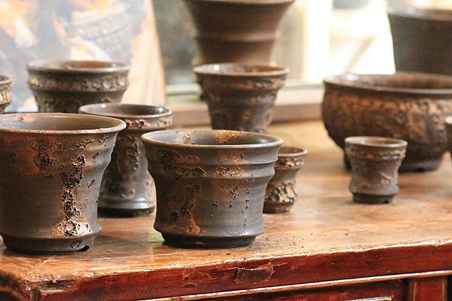 ヨコヤマ コーデックスアートギャラリー＜TOP＞ ～アガベ・塊根植物の