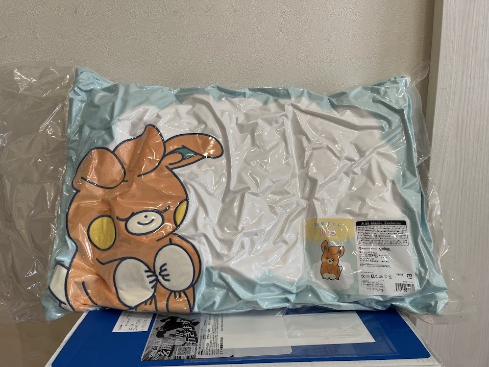 総額いくら？】ピカピカボックス2025の中身を開封レビュー【ポケモン