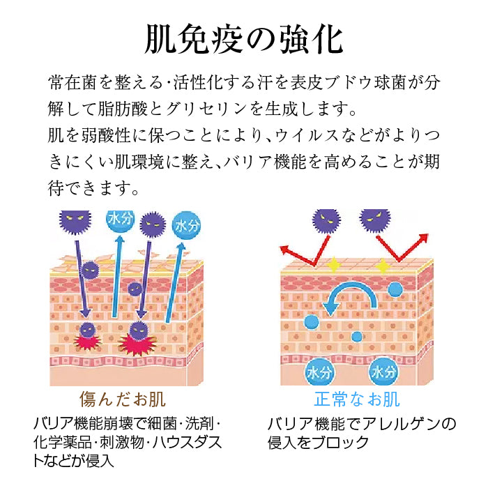 immuno mura イムノムラ 化粧水 i1(アイワン) 150ml – 東和バイオ