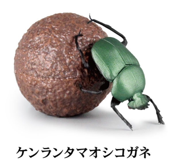 1/1 フンコロガシ 【SO-TA】