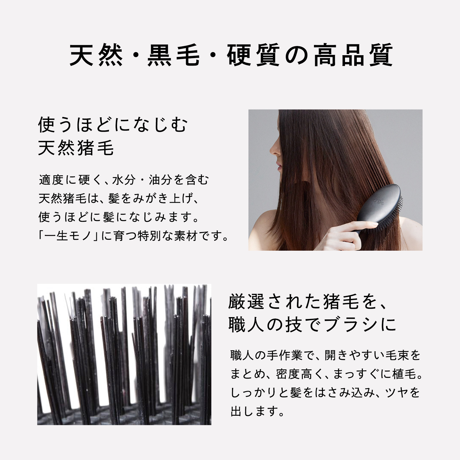 楽天市場】天然猪毛ブラシ ＼ReFa公式／ リファ ブリッスル