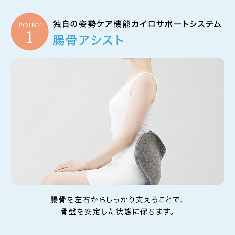 楽天市場】姿勢ケアシート スタイル スタンダード F01 生地あり Style