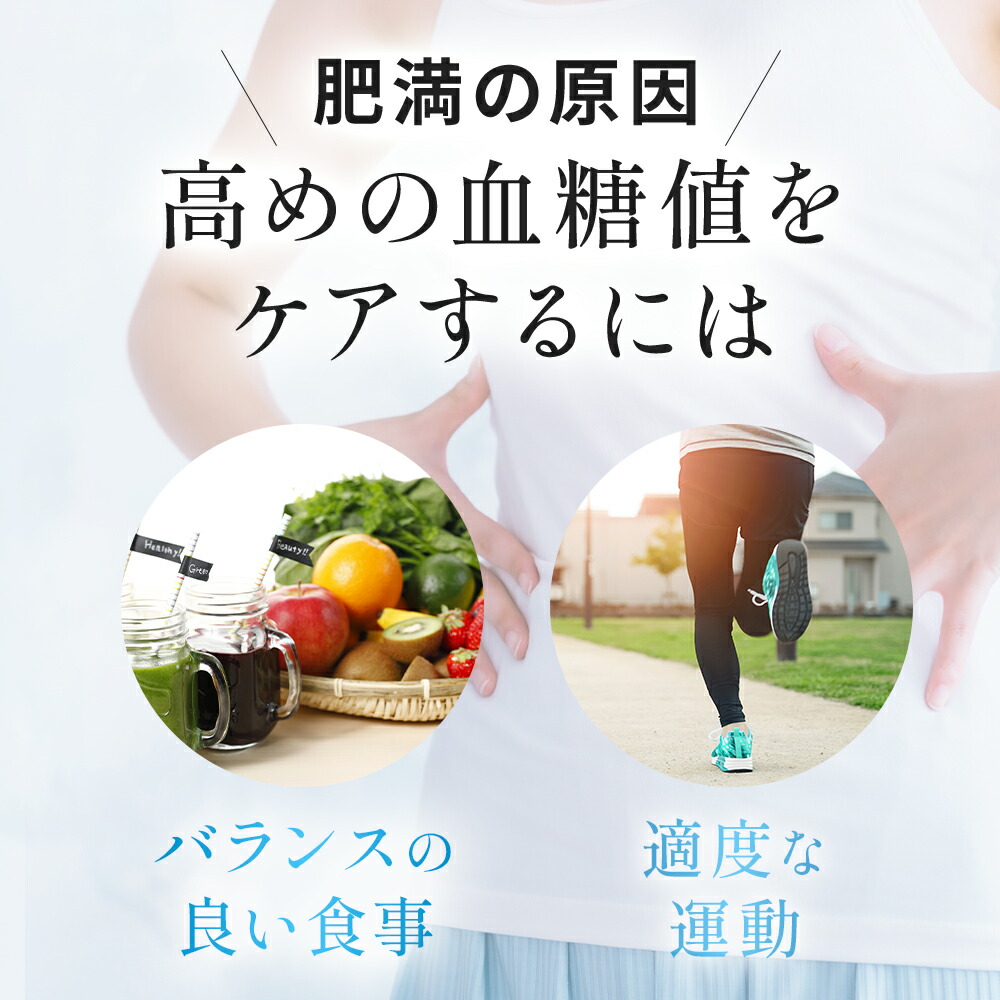 wellreco糖脂サプリメント 180粒（30分×2袋） 楽天市場】【公式