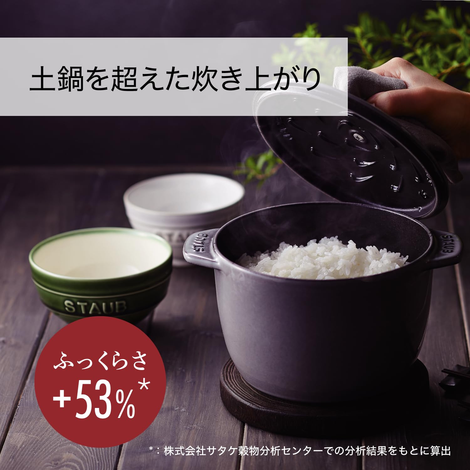 楽天市場】staub ストウブ 「 ラ ココット de GOHAN カンパーニュ L