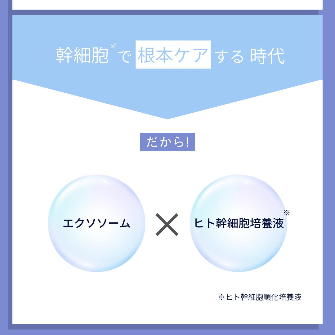 楽天市場】モイストシートマスクEX 5枚セット : mamu 楽天市場店