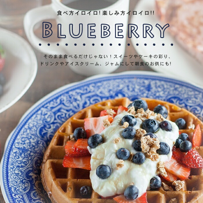 楽天市場】果樹苗 ブルーベリー ラビットアイ系 2品種植え（パウダー