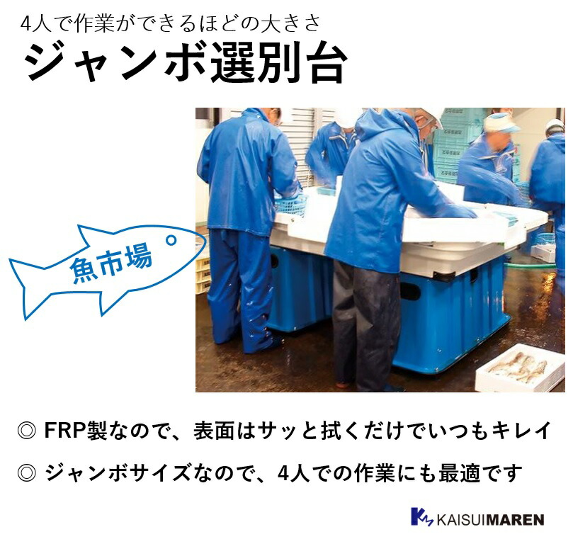 楽天市場】ジャンボ選別台 KB1800_魚市場 漁業 漁協 魚の選別 大型 4人