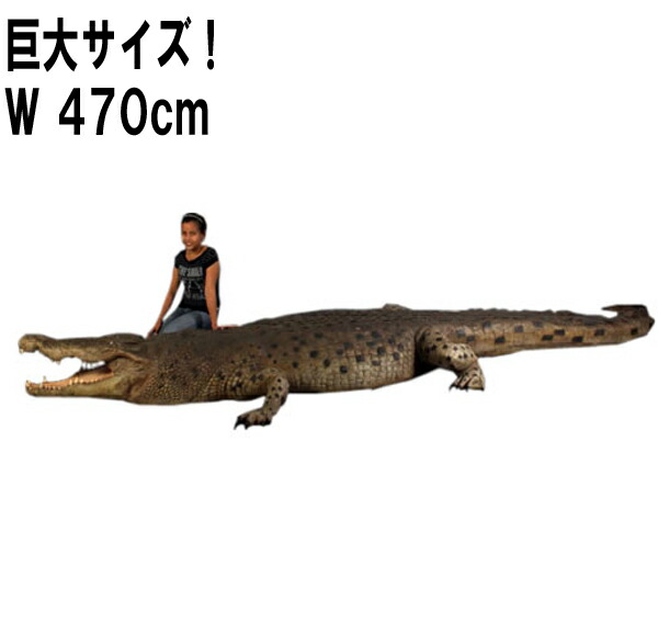 楽天市場】FRPアニマルオブジェ クロコダイル 18フィート Crocodile